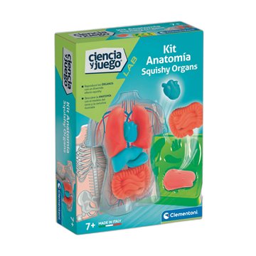 Kit Anatomia Squishy Organs