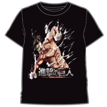 Puzzle One Piece 1000pzs
